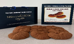 Nấm linh chi đỏ Đà Lạt