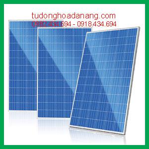 Pin năng lượng mặt trời - Solar Panel – CS6P