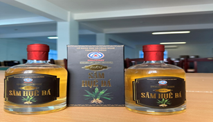 Rượu Sâm Huệ đá